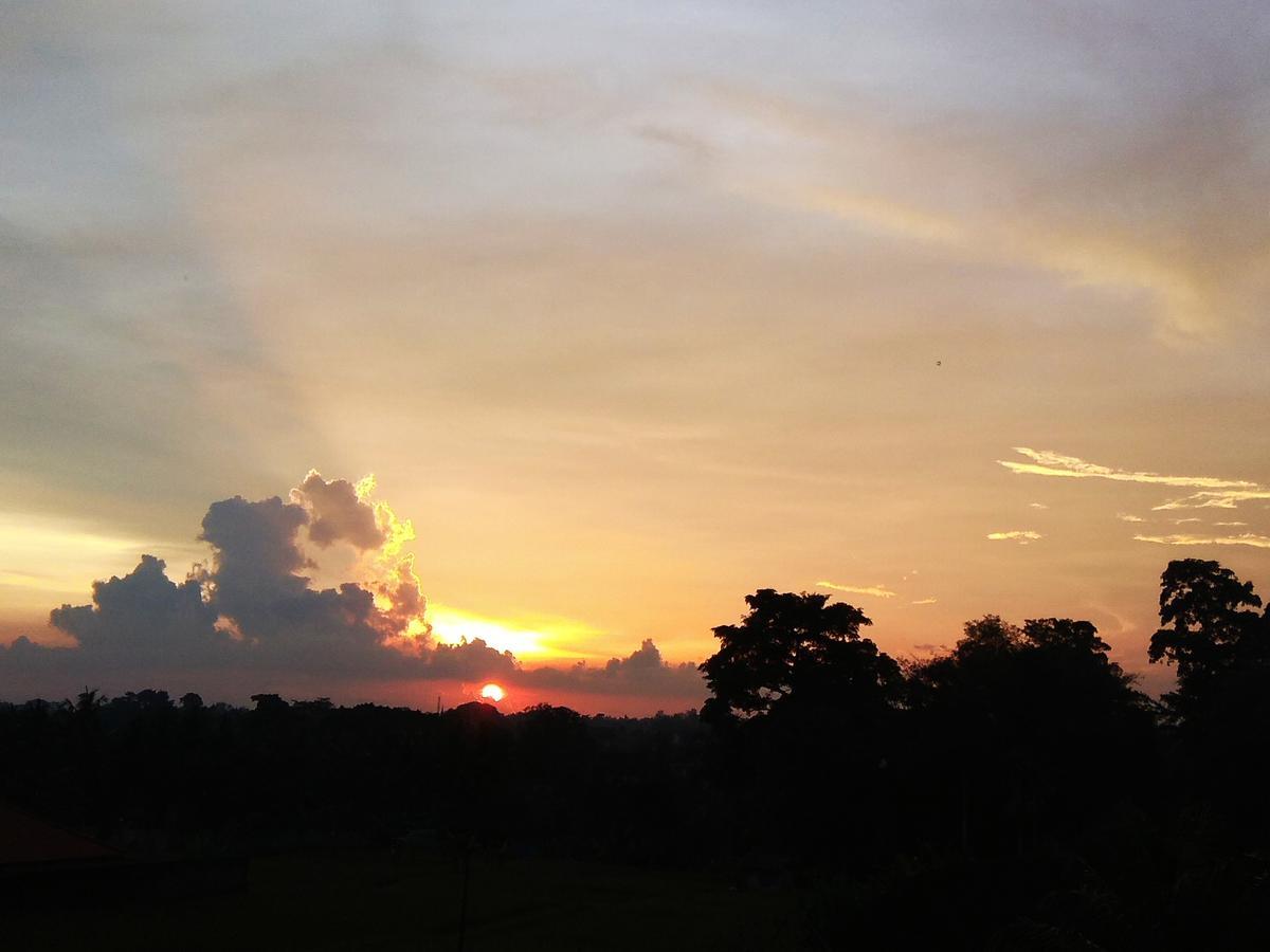 Soka * Ubud